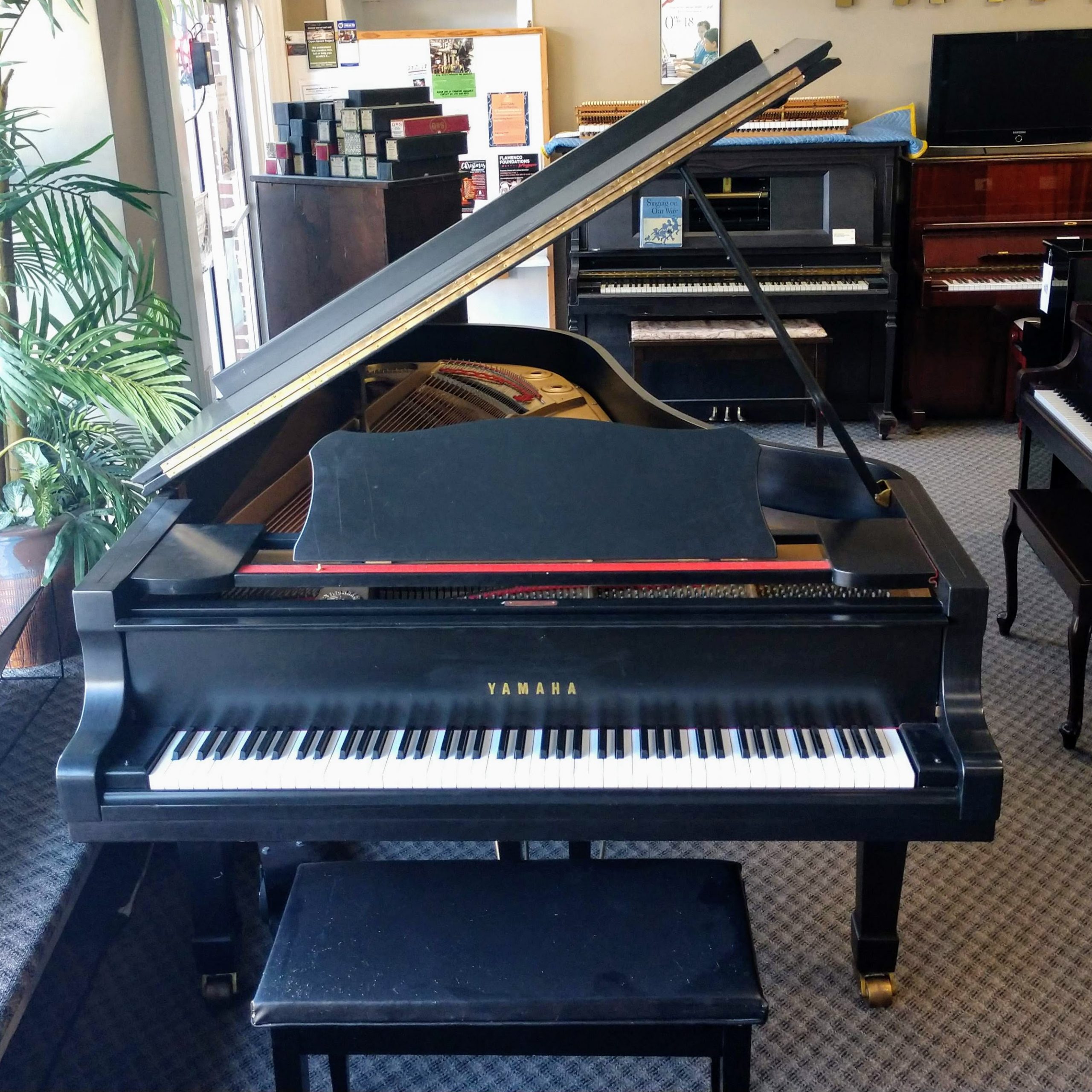 Yamaha C7 (2pedal) Starbird Piano