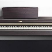 Digital Pianos