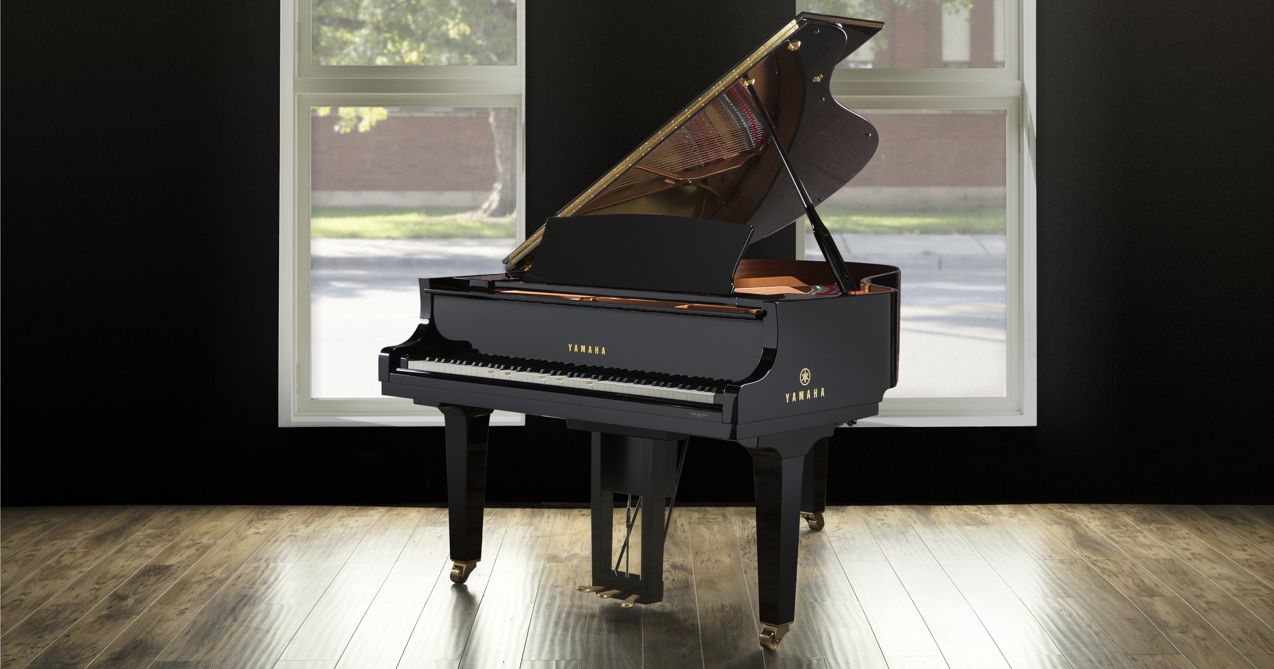 Yamaha dgb1k Enst PWH дисклавир