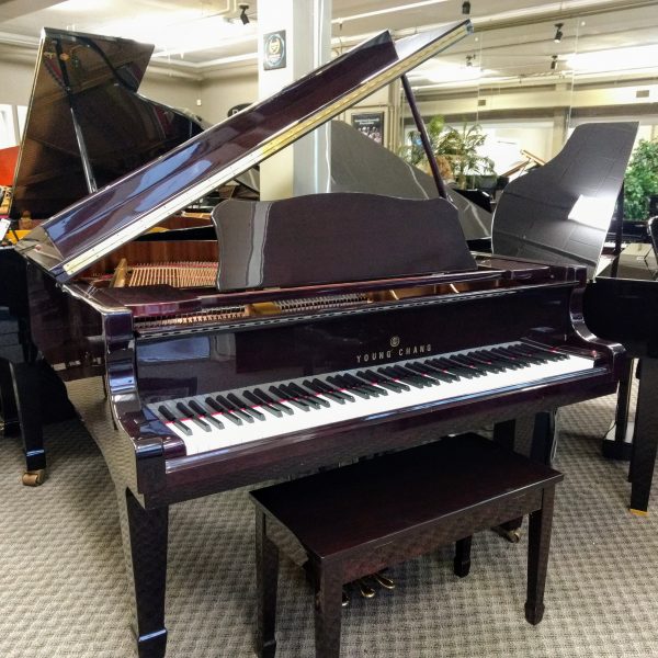 SOLD - Young Chang TG-157