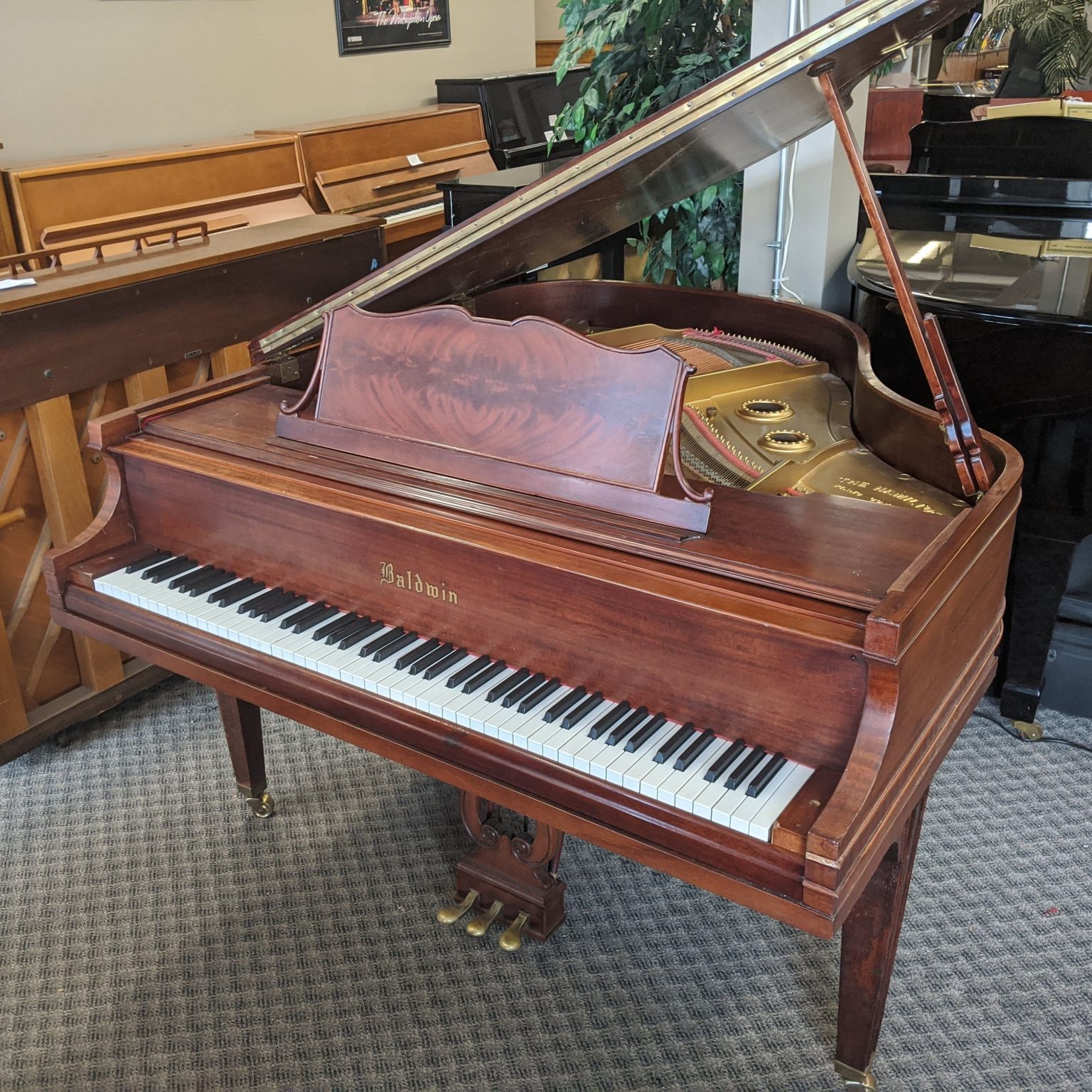 Grands & Baby Grands Starbird Piano