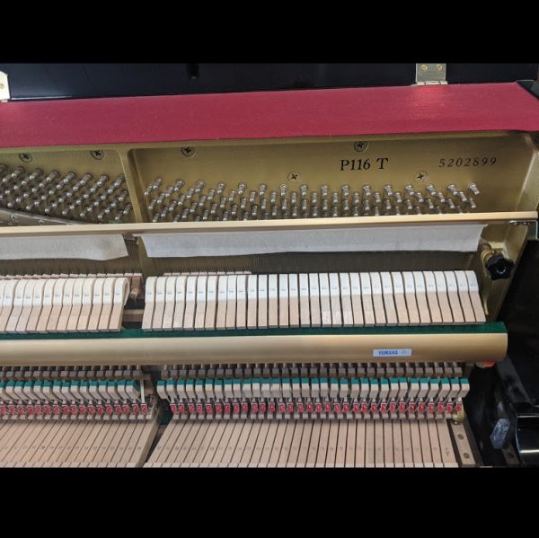 SOLD - Yamaha P116T - Image 9