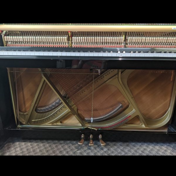 SOLD - Yamaha P116T - Image 10