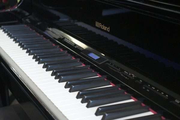 LOANED OUT Roland LX17 Starbird Piano