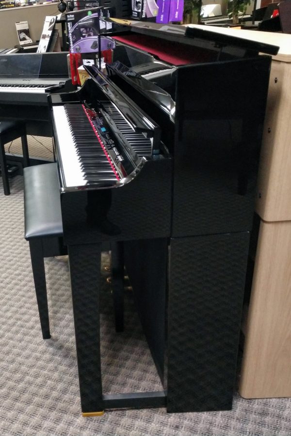 LOANED OUT Roland LX17 - Image 5