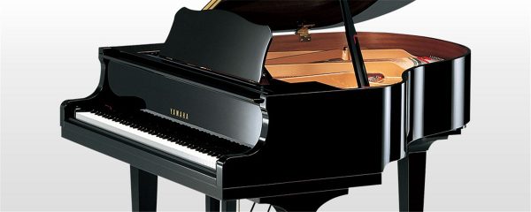GC1 Walnut - Image 2