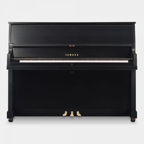 P22 - Image 3