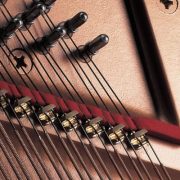 Acoustic Pianos