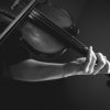 Fiddle with Clara - Image 2