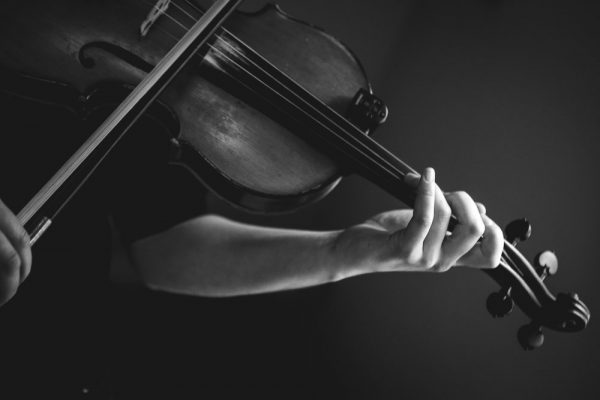 Fiddle with Clara - Image 2