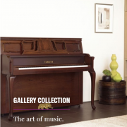 Gallery Collection