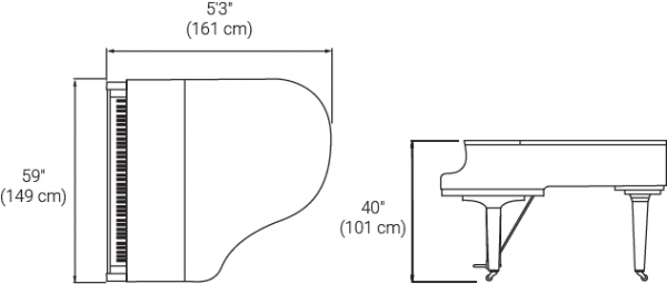 GC1 Walnut - Image 6