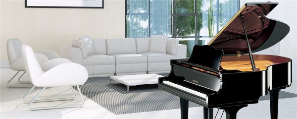 GC2 - Image 2