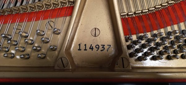 Steinway Model O - Image 7