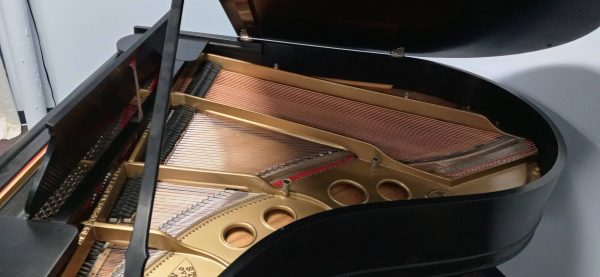 Steinway Model O - Image 5
