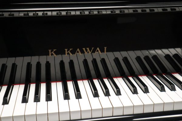 SOLD Kawai GM-10 - Image 7