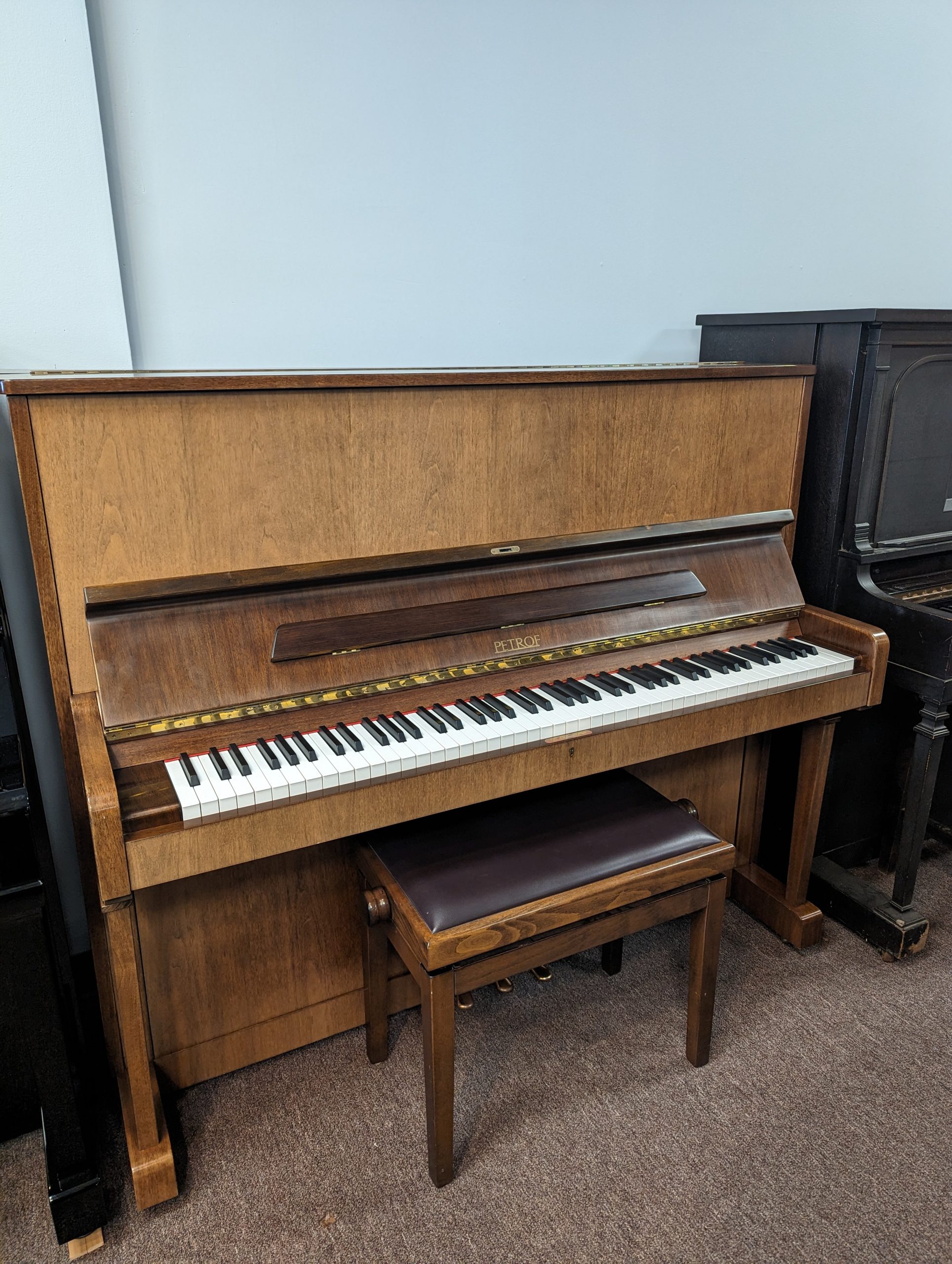 Petrof piano models discount