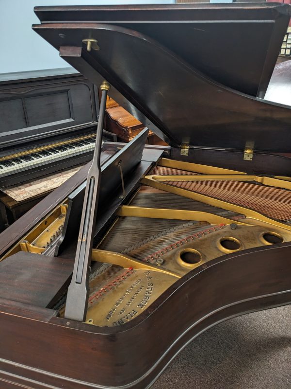 Starck 1913 Baby Grand - Image 3