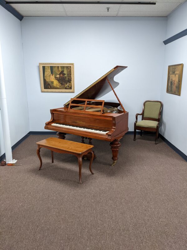 Bluthner Style 8 Aliquot Grand